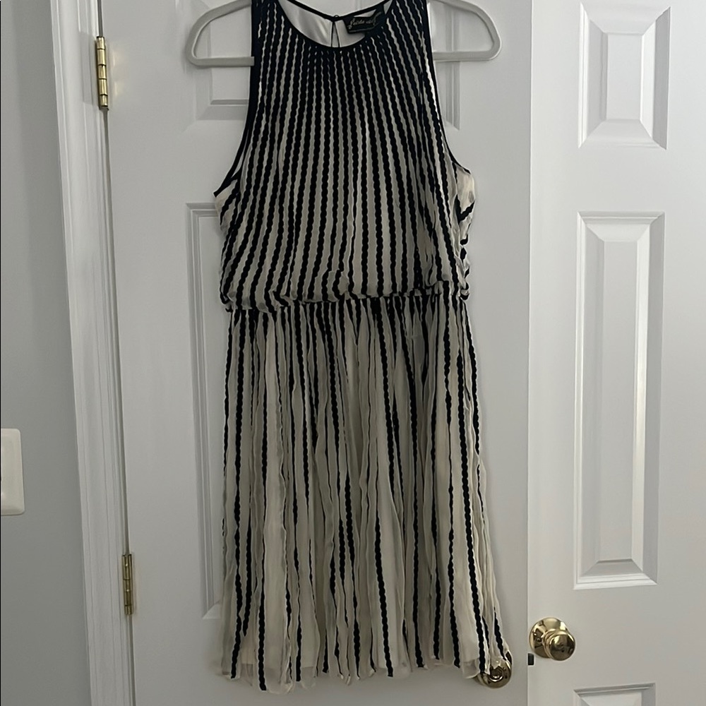 Anthropologie Black and White Striped Dress